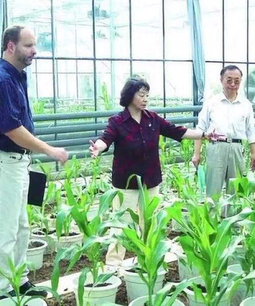 中农科测合作伙伴先进技术深度分享