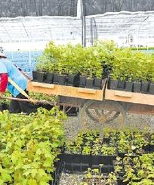 合作更新，共同开发新型农业科技产品