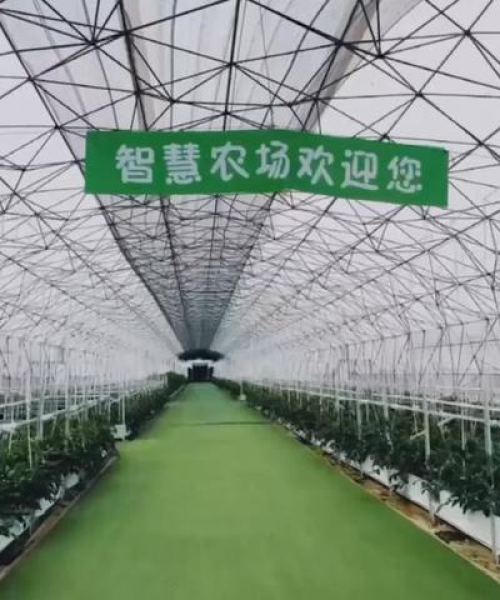 空气品质监测器对农业的重要性