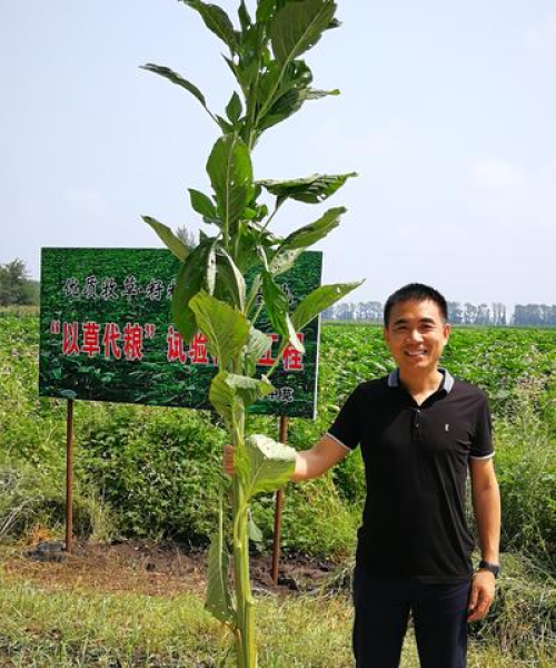 农业教育项目，培养新一代农民