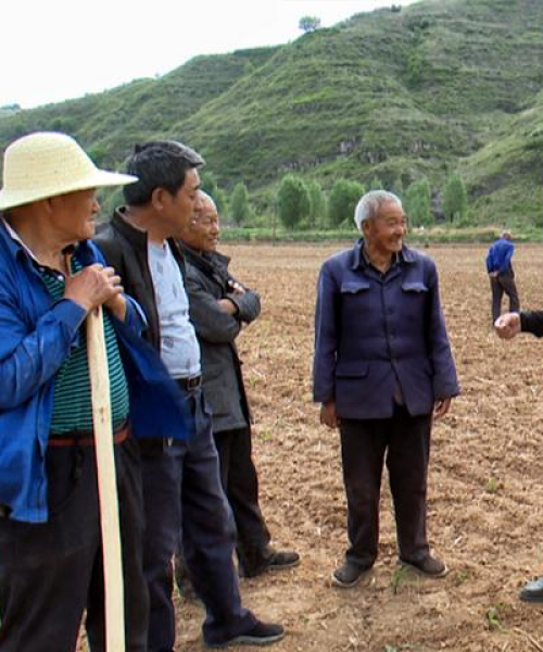 技术咨询在农业病虫害防治中的关键作用