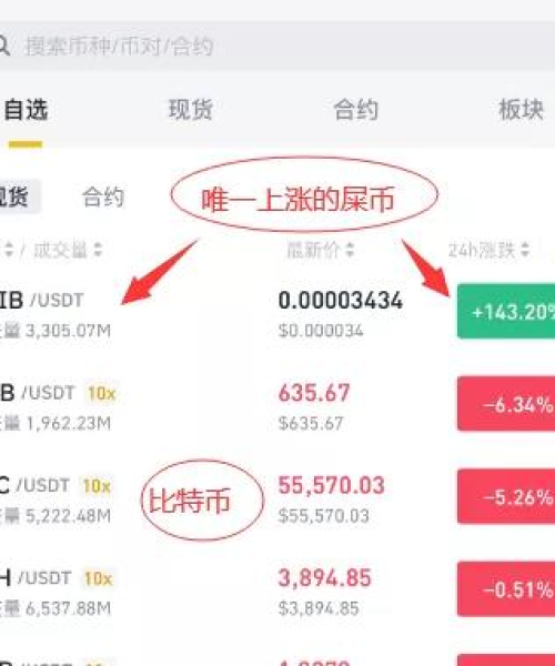 今日网币最新行情分析报告