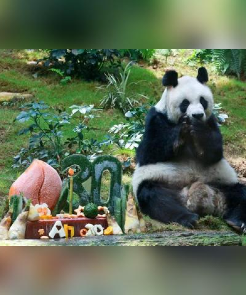 全球长寿公司排名揭示，哪些企业遥遥领先？