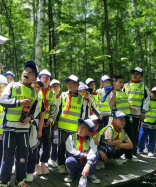 桦甸新闻头条——科技引领未来，桦甸市实现新突破