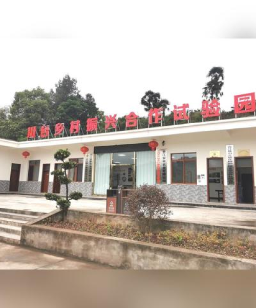 合作共赢，我们一起实现的农业创新案例