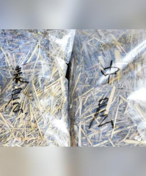 山西兽药公司排名揭晓，权威数据揭示行业格局
