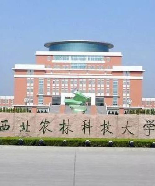 探路直播最新视频下载网站，中农科测（成都）科技有限公司的直播新动向