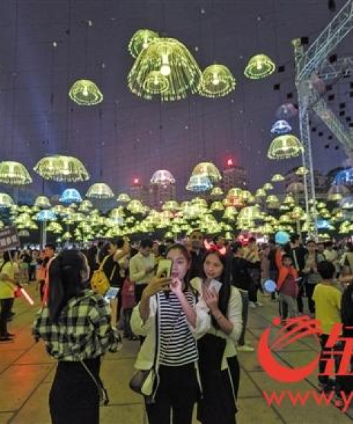 如何通过定制化解决方案提升农业竞争力
