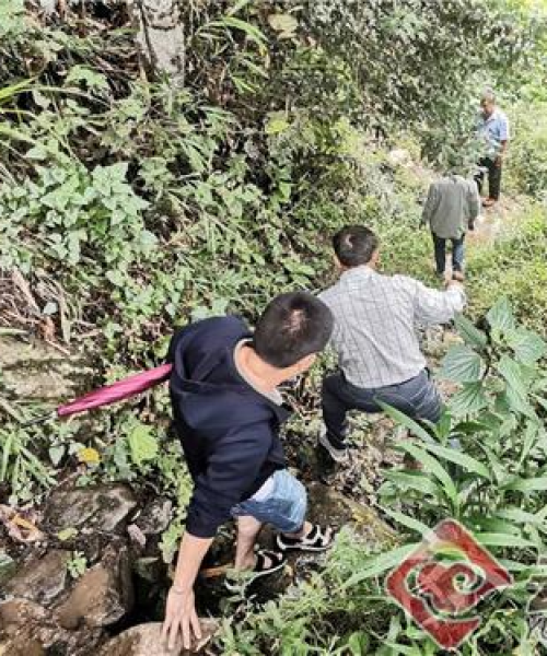 中农科测环境监测项目荣登行业巅峰，荣获大奖
