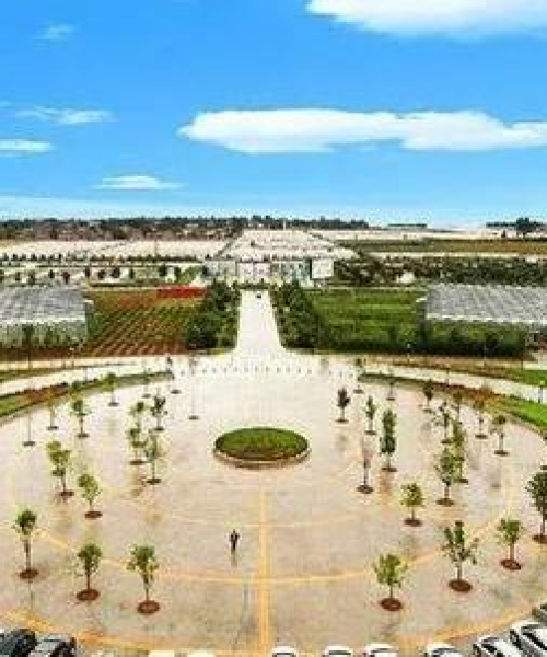 中农科测科研项目与市场表现对比